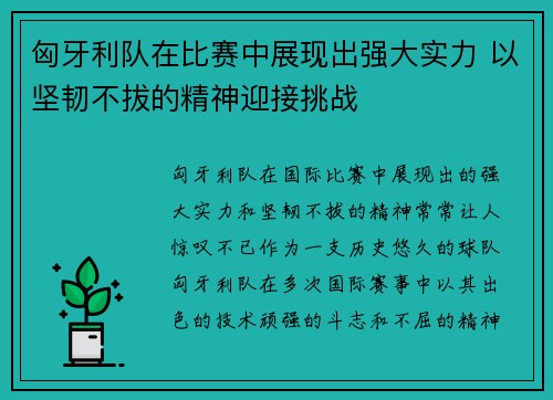 匈牙利队在比赛中展现出强大实力 以坚韧不拔的精神迎接挑战
