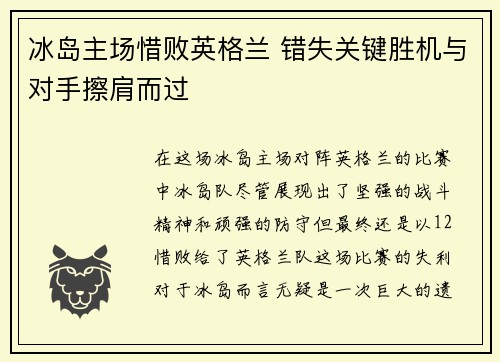 冰岛主场惜败英格兰 错失关键胜机与对手擦肩而过